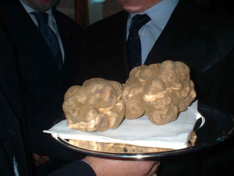tartufo_bianco.jpg