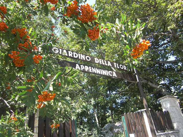 giardino-flora.jpg