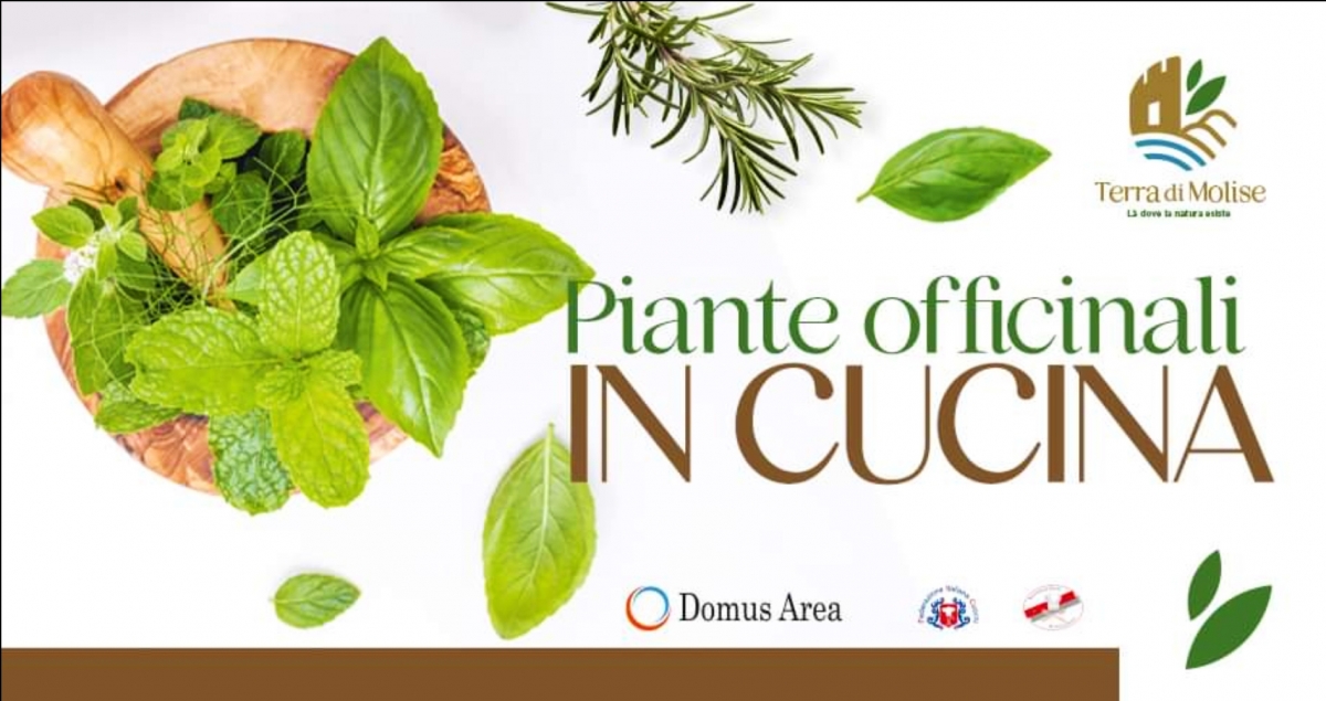 Piante-Officinali-in-cucina-ok.jpg