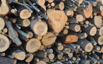 legna_da_ardere_micarelli_2-1-edited-768x480.jpg