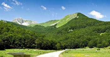 comparto-montano-molise-M5S-780x410.jpg