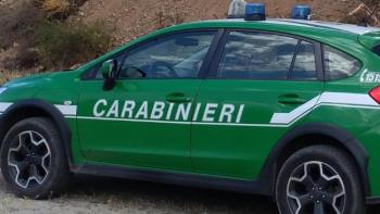 Carabinieri_forestali.jpg