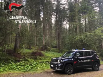 carabinieri-forestali-50211.webp