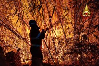 IMG_7014.jpeg